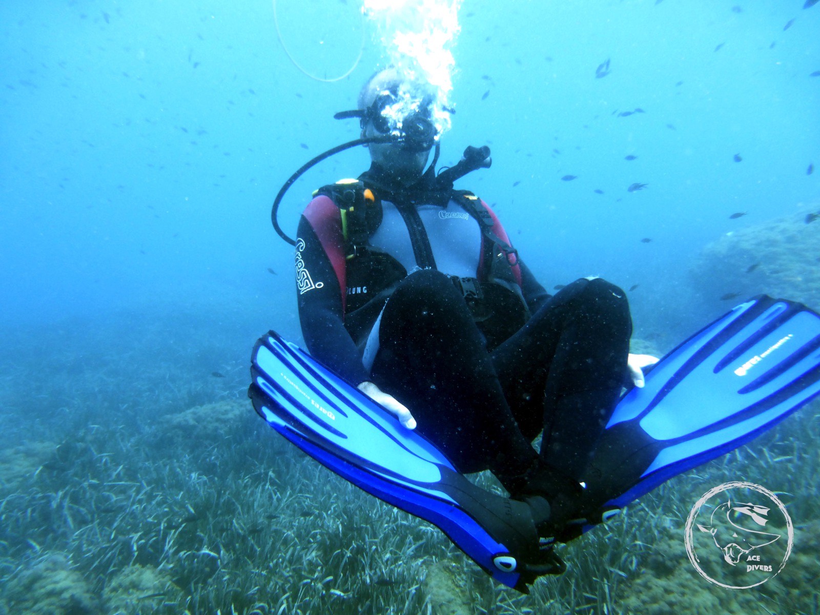 Curso SSI Advanced Open Water en Águilas