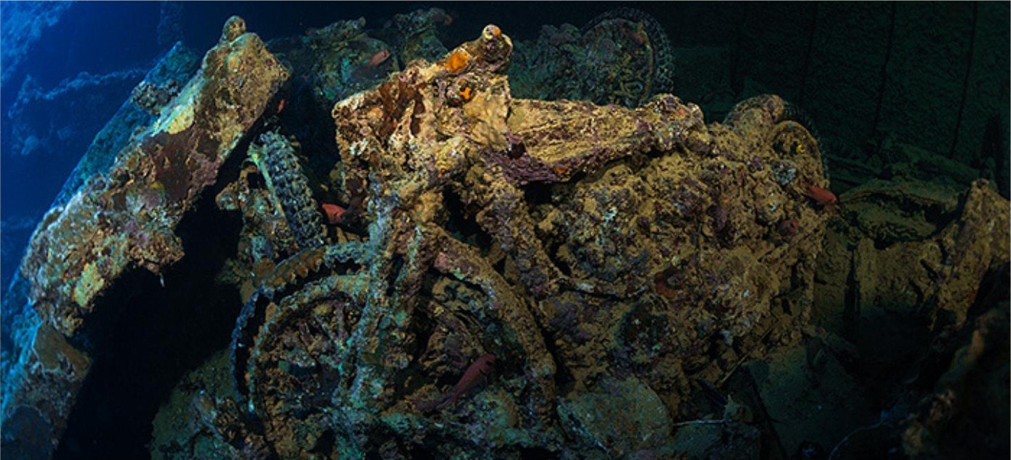Viaje de buceo al Mar Rojo
